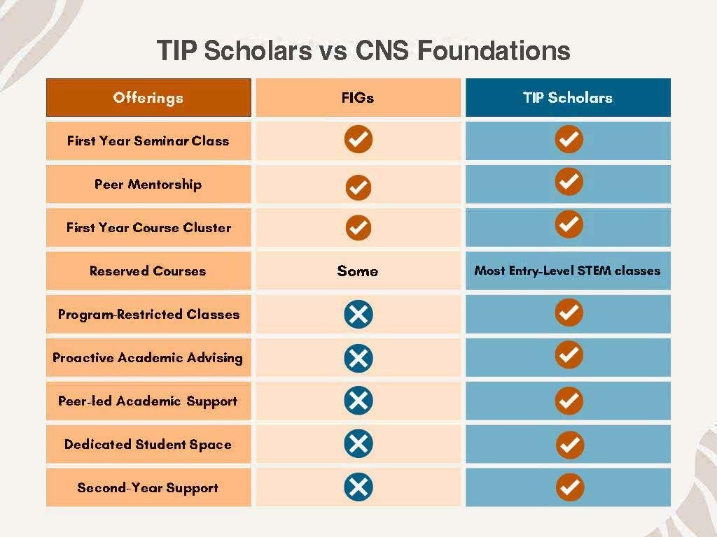 TIP Scholars vs CNS Foundations table