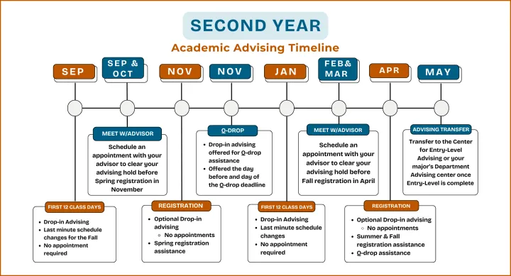Second Year Advising Timeline